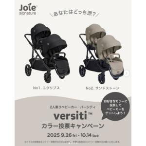 2人乗りベビーカーVersiti
