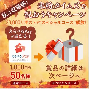 えらべるPay 1,000円分