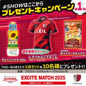 レプリカユニフォーム&昭和産業商品セット