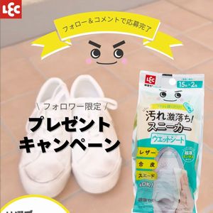 激落ちくんスニーカーウエットシート