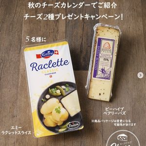 チーズ2種