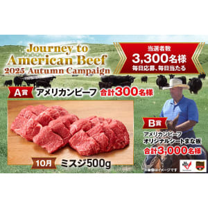 月替わりアメリカンビーフ 焼き肉500g　他