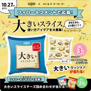 ちょっと大きいクッション　他