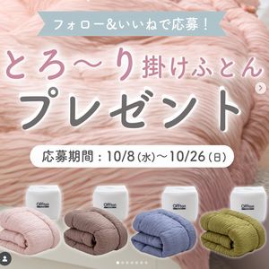 とろ～り掛けふとん シングル