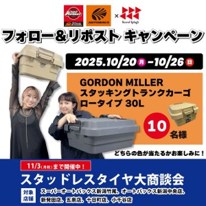 スタッキングトランクカーゴ ロータイプ