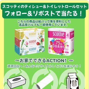スコッティのティシュー&トイレットロール