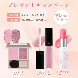 ヴィセ 新作コスメセット
