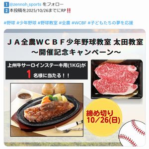 上州牛サーロインステーキ用1kg