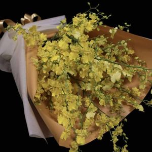 めざましテレビで紹介されたお花