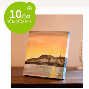 紙製組み立てキャンバス