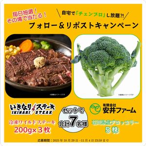 冷凍ワイルドステーキ 他