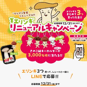 きのこ組キーホルダー5体セット