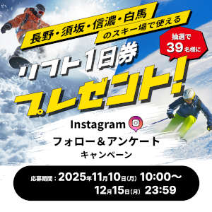 スキーリフト券