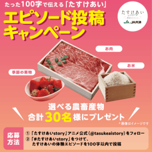 お米・お肉・果物から選べる特選ギフト