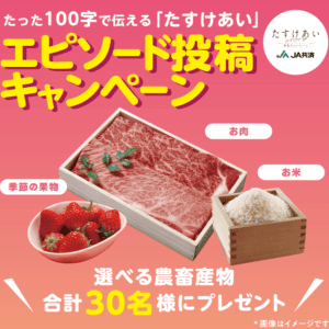 お米・お肉・果物から選べる特選ギフト