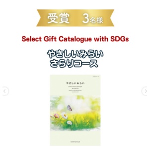 カタログギフトやさしいみらいさらりコース