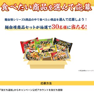 ニッスイ 麺自慢商品セット