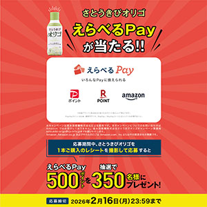 えらべるPay500ポイント
