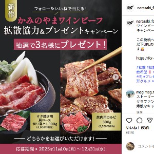 すき焼き用肩ロース 焼肉用カルビ 300g