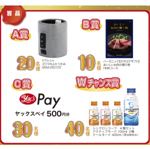 健康家電やカタログギフト　他