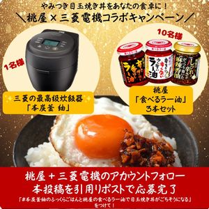 三菱の炊飯器「本炭釜 紬」　他