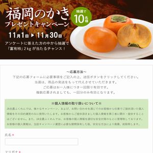 福岡のかき「富有柿」2kg