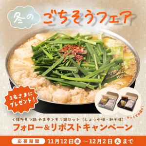 博多もつ鍋やま中 もつ鍋セット（しょうゆ味・みそ味）