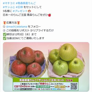 青森県産りんご サンふじ・王林 セット