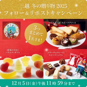 クリスマスサンタストーリーズ 特別セット
