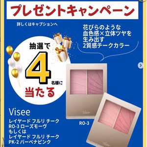 ヴィセ レイヤードフルリチーク