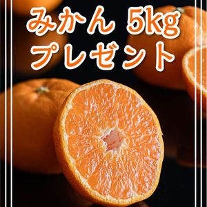 愛媛みかん5kg