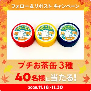 povoプチお茶缶3種