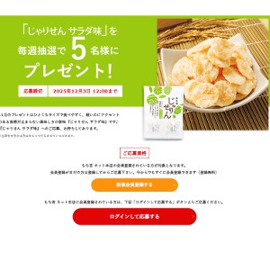 もち吉 じゃりせん サラダ味