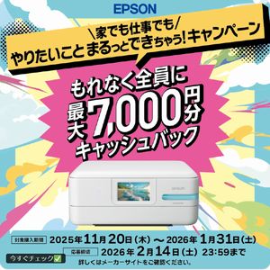 ビックカメラギフトカード3,000円分