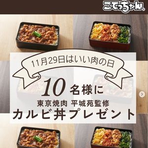 平城苑監修カルビ丼セット