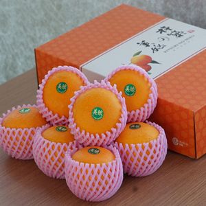 大分県産ハウス美娘(みこ)