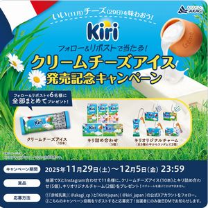 クリームチーズアイス 10本　他