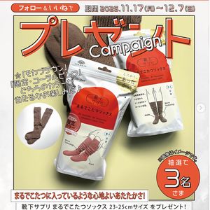 靴下サプリ まるでこたつソックス