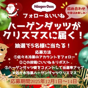 ハーゲンダッツ詰め合わせ