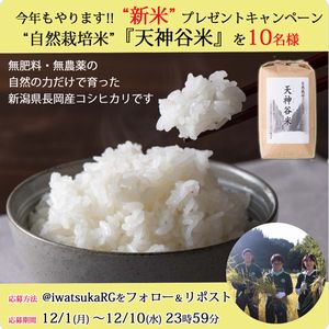 自然栽培米「天神谷米」1.5kg