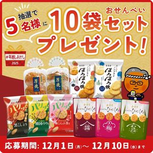 金吾堂人気のおせんべい10袋セット