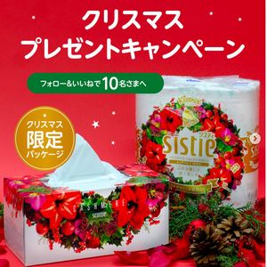 クリスマスモチーフをデザインした限定セット