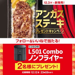 L501Comboノンフライヤー