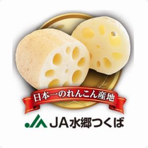 「JA水郷つくばのれんこん」4キロ1箱