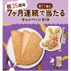 お菓子「鎌倉ごま半月」　他