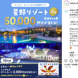 星野リゾート宿泊ギフト券5万円分 他