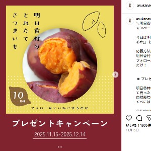 べにはるか1.2kg