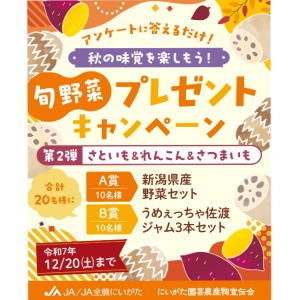 JA全農にいがた新潟県産野菜セット 他