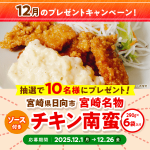 宮崎名物 チキン南蛮（ソース付き）