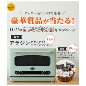 アラジングラファイトオーブンレンジ 他